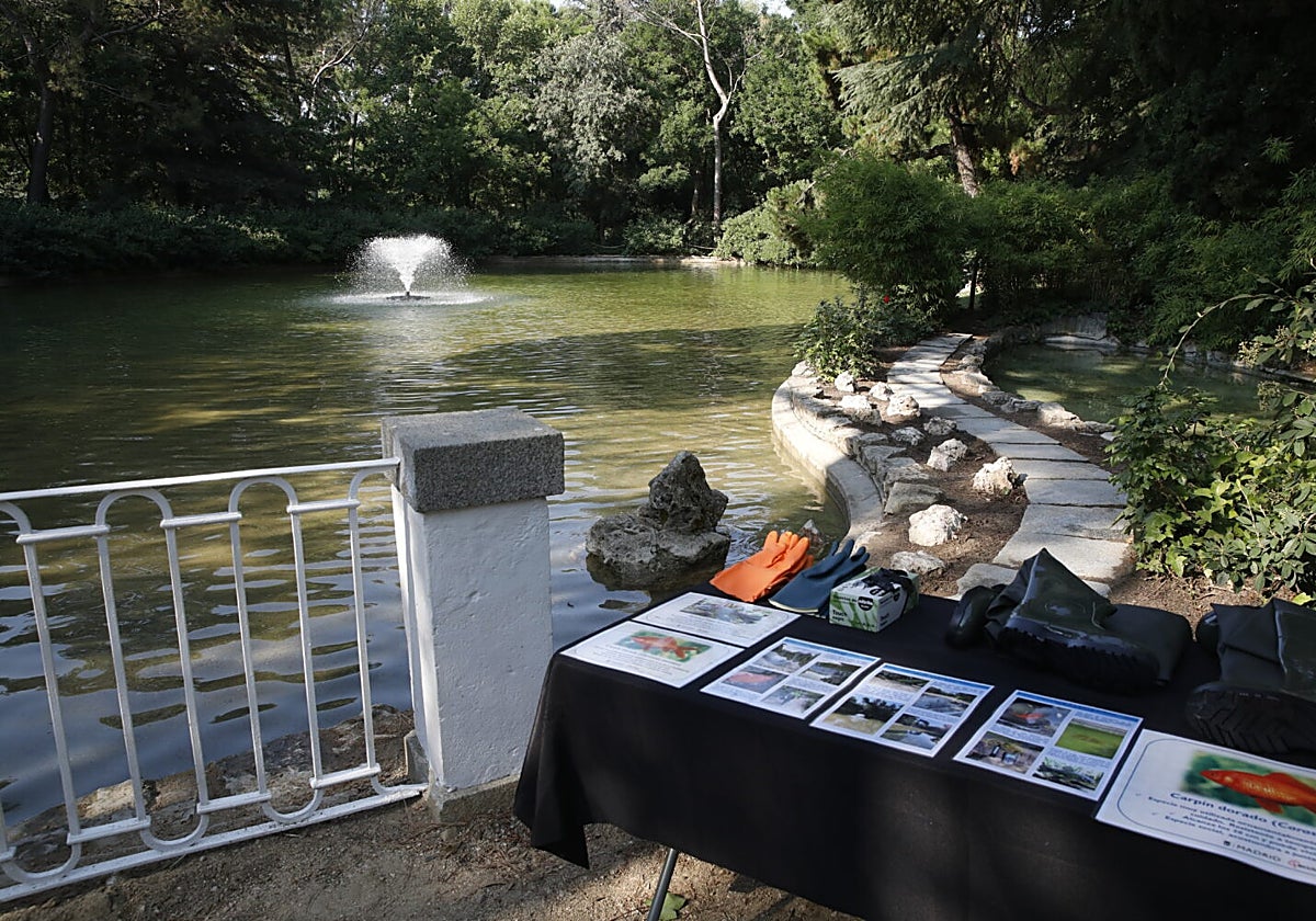 El estanque de la Quinta de los Molinos tras su revisión y limpieza