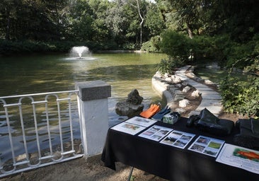 El estanque del Retiro será vaciado en enero de 2027 para repararlo