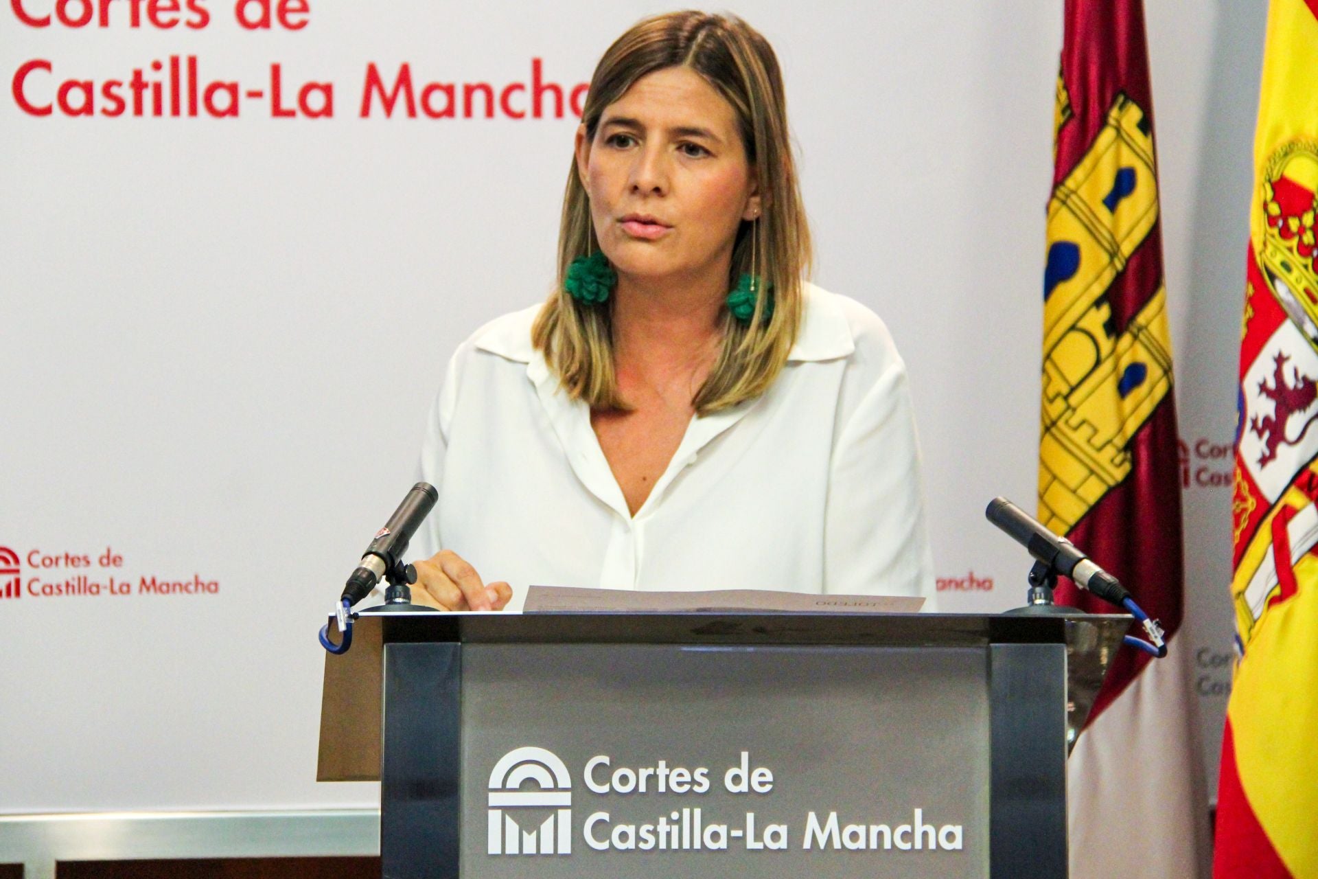 Agudo (PP) pide explicaciones de por qué tenía tanto interés el Gobierno de Page en contratar con una empresa del caso Koldo