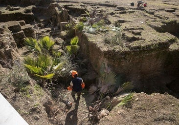 Los trabajos arqueológicos en el anfiteatro romano de Córdoba, a la espera de comenzar