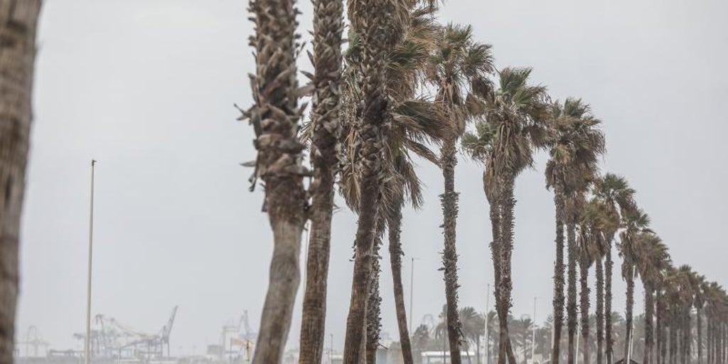 Una dana con tormentas intensas, viento fuerte y granizo llega este sábado a la Comunidad Valenciana