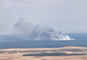 Controlado el incendio que afecta a una zona de pinares en Cuéllar (Segovia)