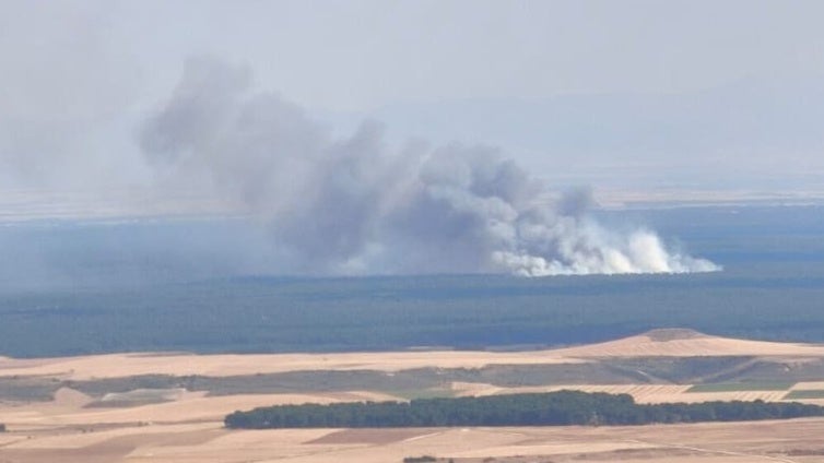 Controlado el incendio que afecta a una zona de pinares en  Cuéllar (Segovia)