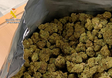 Detenido en Arrecife por intentar pasar el control con cuatro kilos de cogollos de marihuana en una bolsa