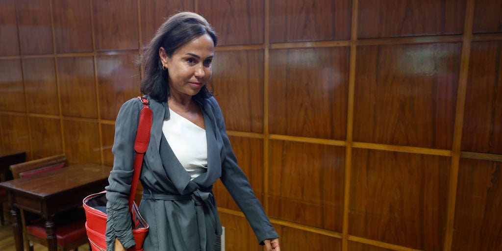 49-51%, el sistema que usaron Pardo de Vera y Herrero para controlar las licitaciones