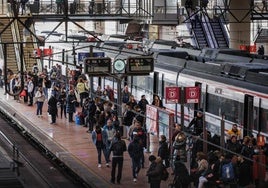 Un árbol cae sobre las vías entre Atocha y Vallecas y provoca retrasos en Cercanías en  hora punta