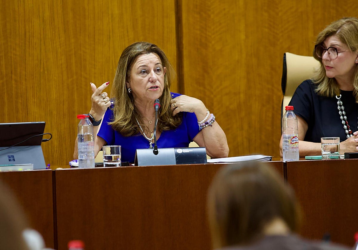 María del Carmen Castillo, consejera de Educación