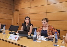 El Constitucional admite a trámite el recurso de Page contra el decreto de reparto de menores migrantes no acompañados