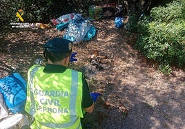 Mueren diez cachorros recién nacidos después de que su dueño los abandonara en el monte metidos en una bolsa