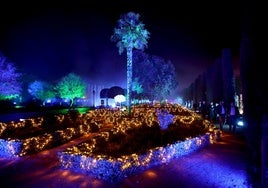 Espectáculo 'Naturaleza encendida' en los jardines del Alcázar