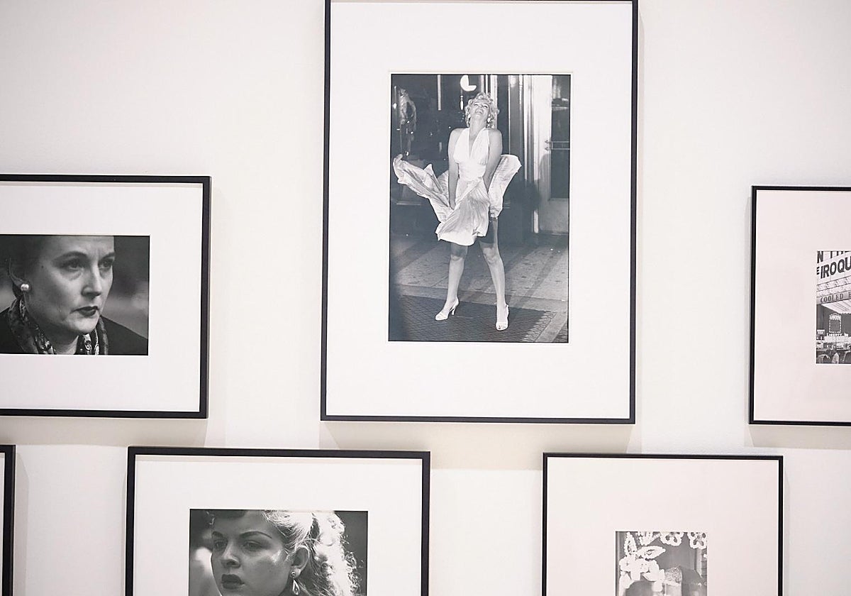 La fotografía de Marilyn Monroe, en el centro de la imagen, expuesta junto a otras ilustraciones de la exposición