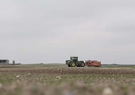 Aragón rechaza de forma tajante el recorte del 20% anunciado por Bruselas en la PAC: es una sentencia de muerte a la agricultura