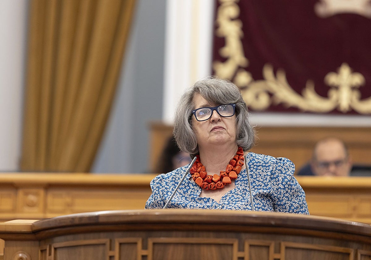 Mercedes Gómez, consejera de Desarrollo Sostenible