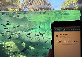 El refugio climático de Valencia donde marca siete grados menos que en el resto de la ciudad