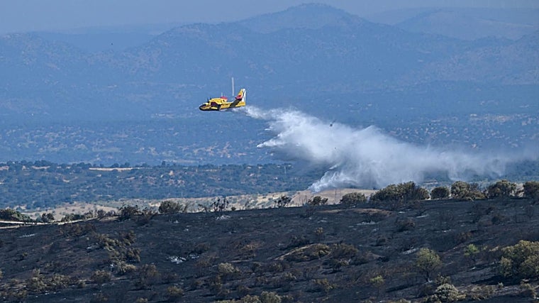 Son más de 3.000 las hectáreas afectadas