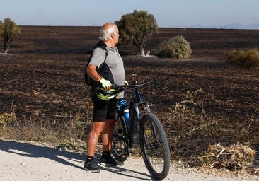 Regresan a sus casas los vecinos desalojados de Casarrubios del Monte y Navalcarnero