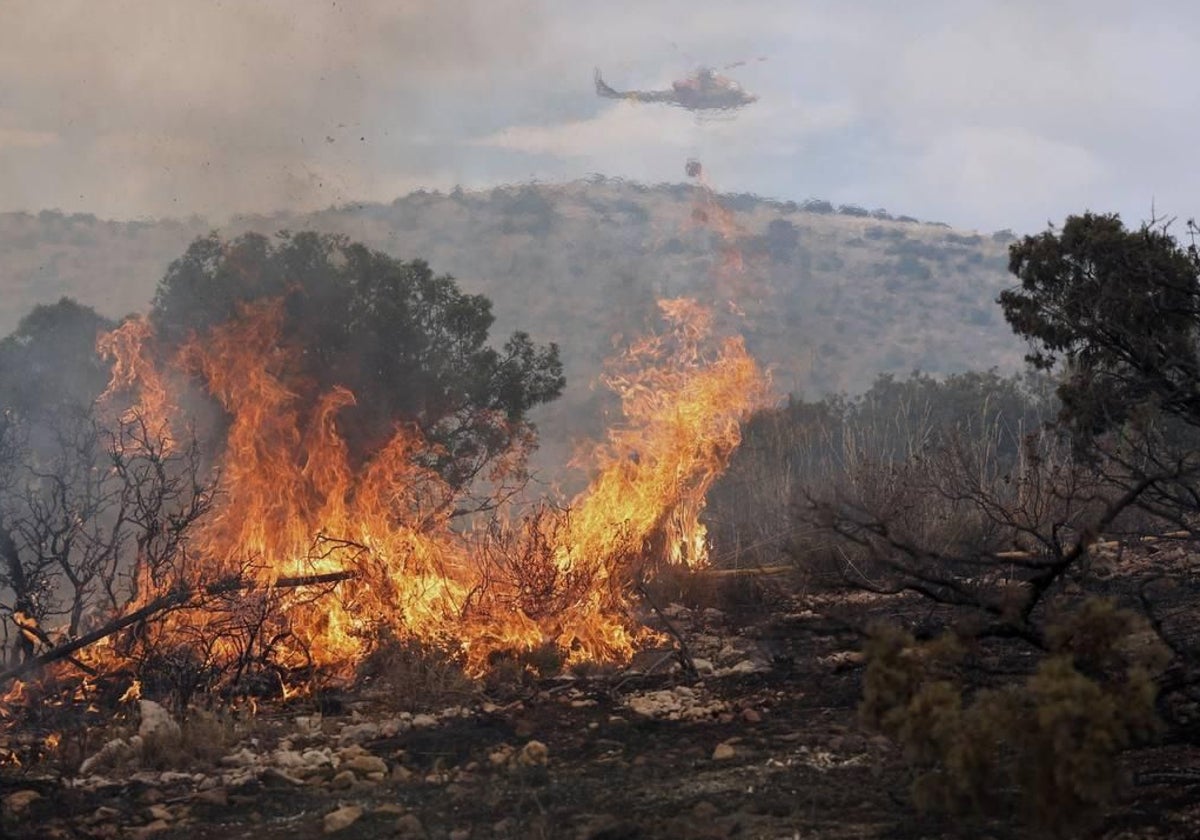 Imagen del incendio forestal originado este viernes en Ibi (Alicante)