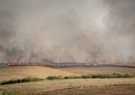 Estabilizado el incendio de Méntrida tras quemar más de 3.000 héctareas