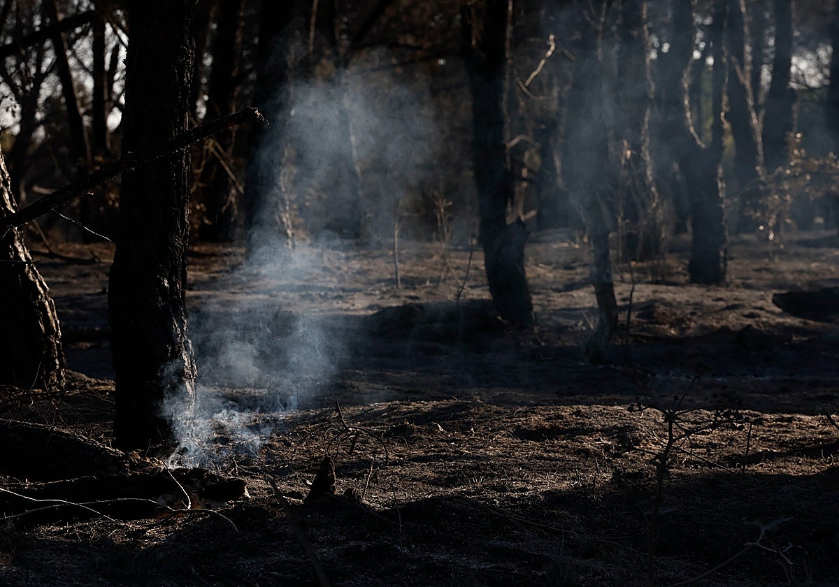 Estado en que ha quedado el terreno