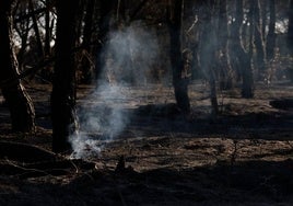 La evolución del fuego de Méntrida es favorable, está perimetrado y ya no hay personas desalojadas