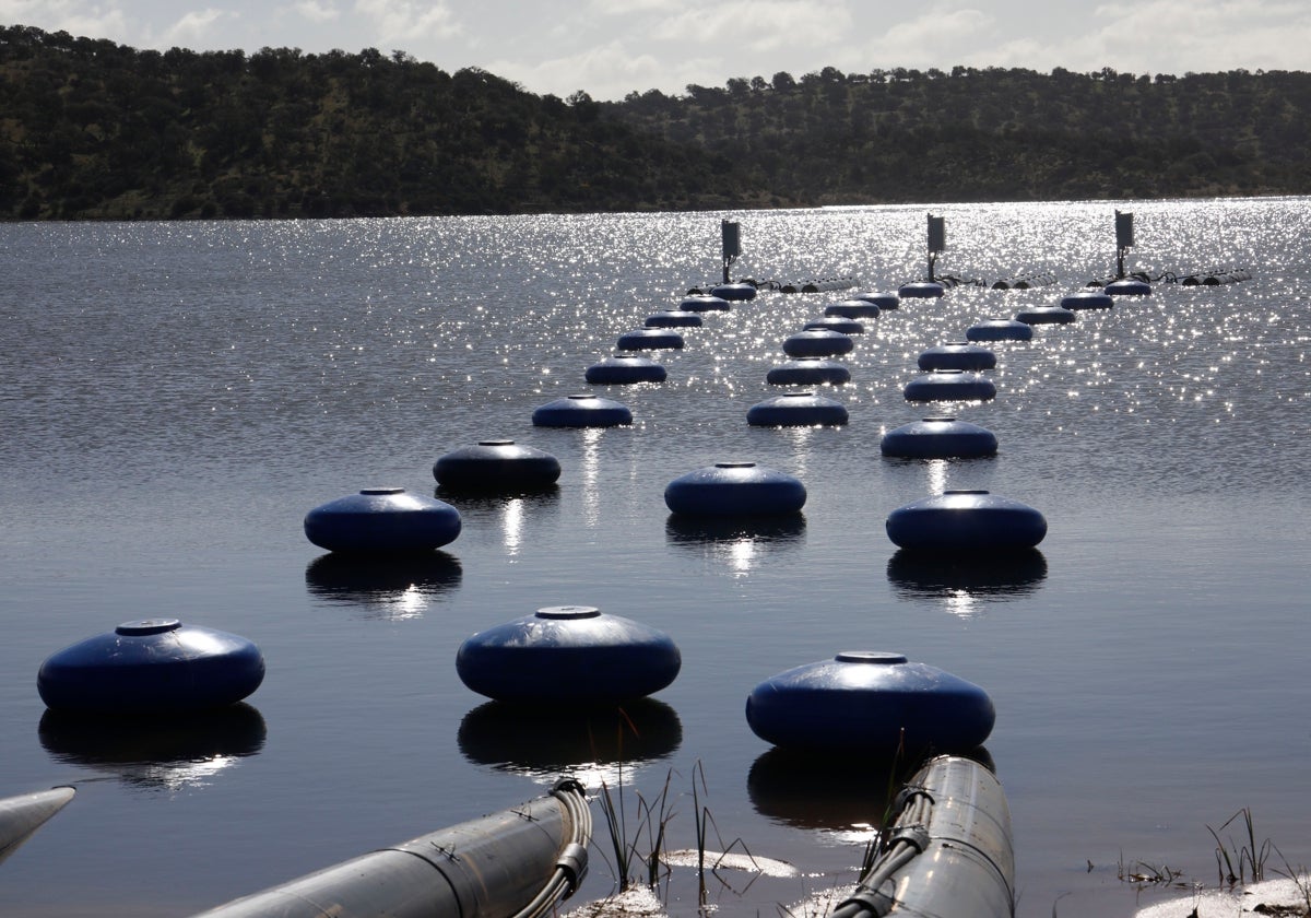 La toma flotante de la presa de La Colada, en su estreno en 2023
