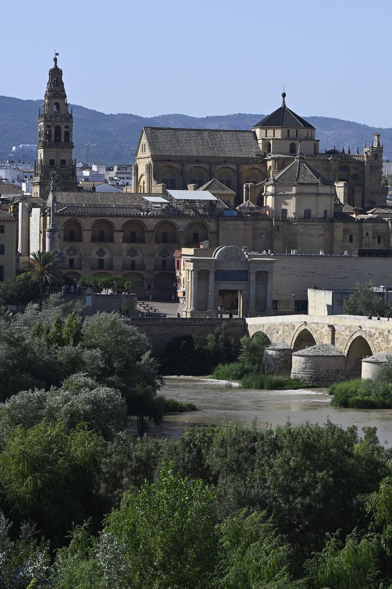 La vegetación en el Guadalquivir a su paso por Córdoba, en imágenes