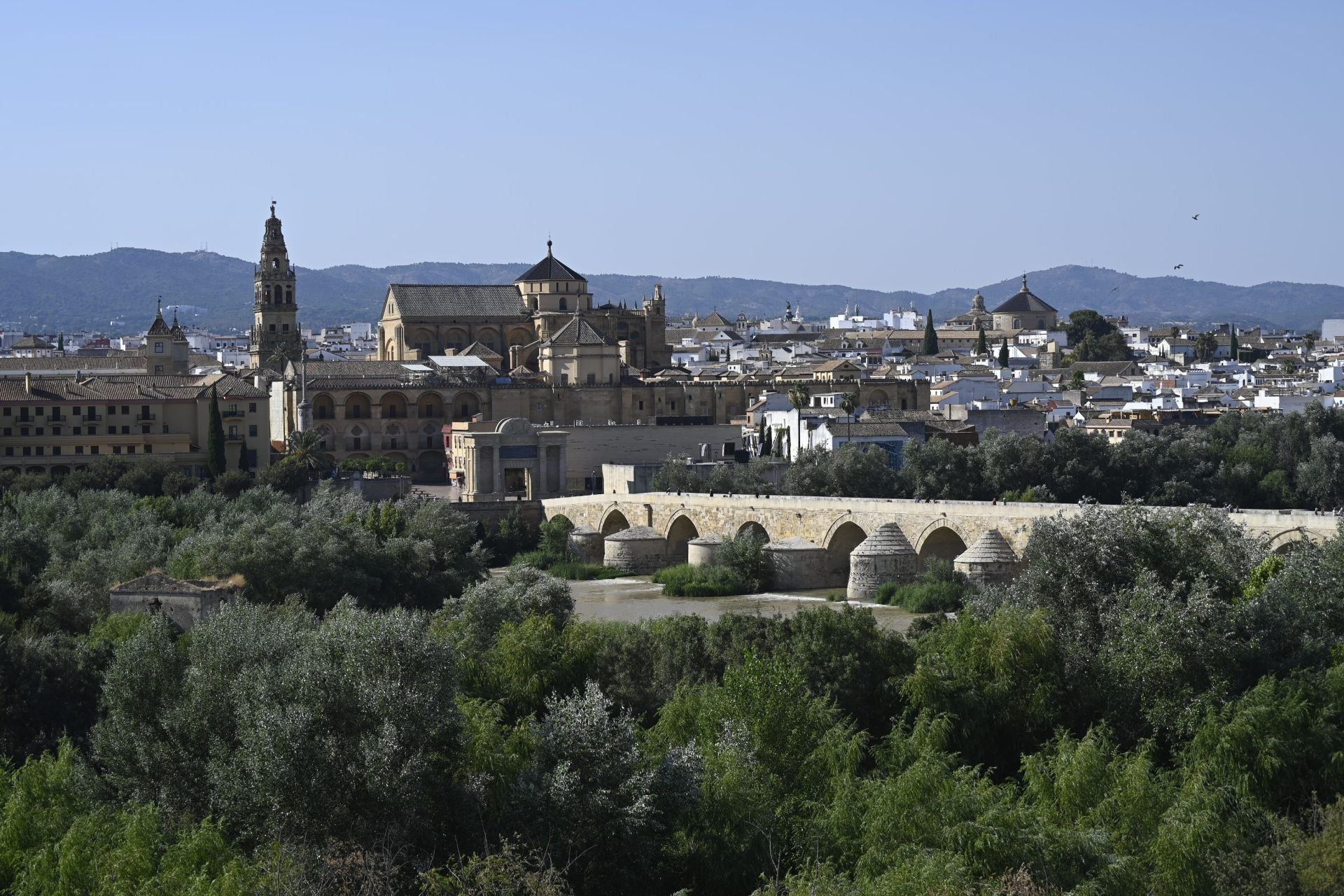 La vegetación en el Guadalquivir a su paso por Córdoba, en imágenes