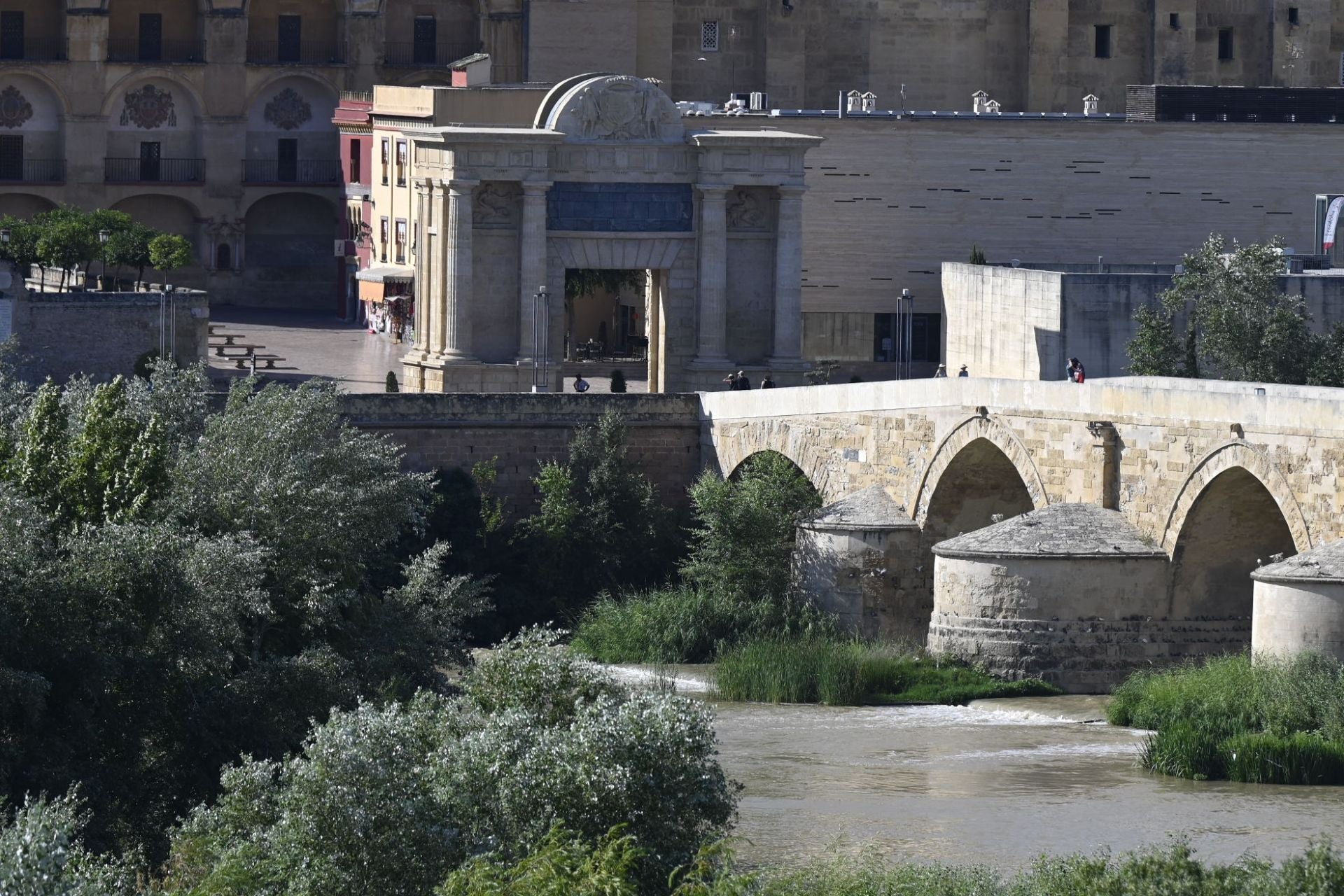 La vegetación en el Guadalquivir a su paso por Córdoba, en imágenes