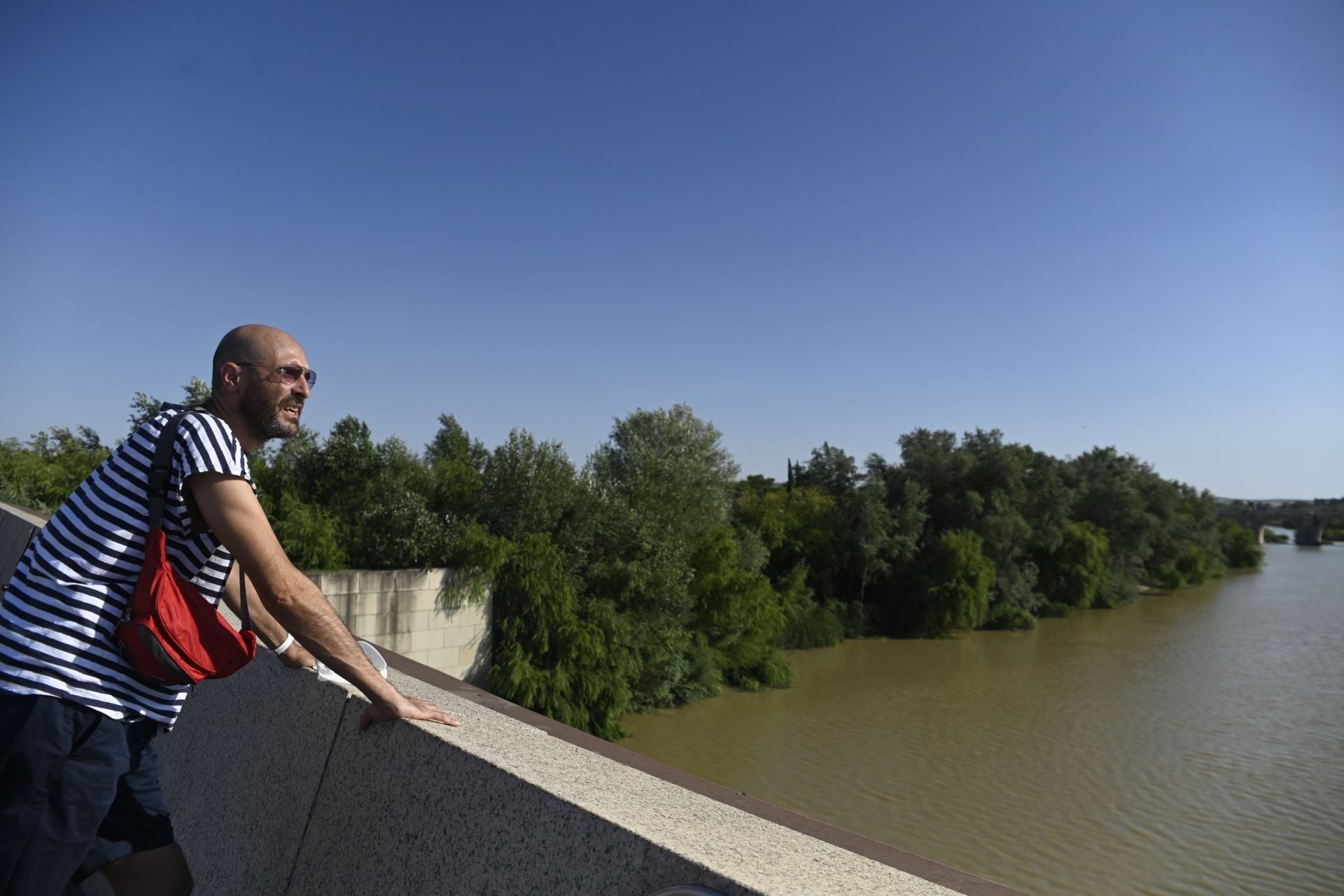 La vegetación en el Guadalquivir a su paso por Córdoba, en imágenes