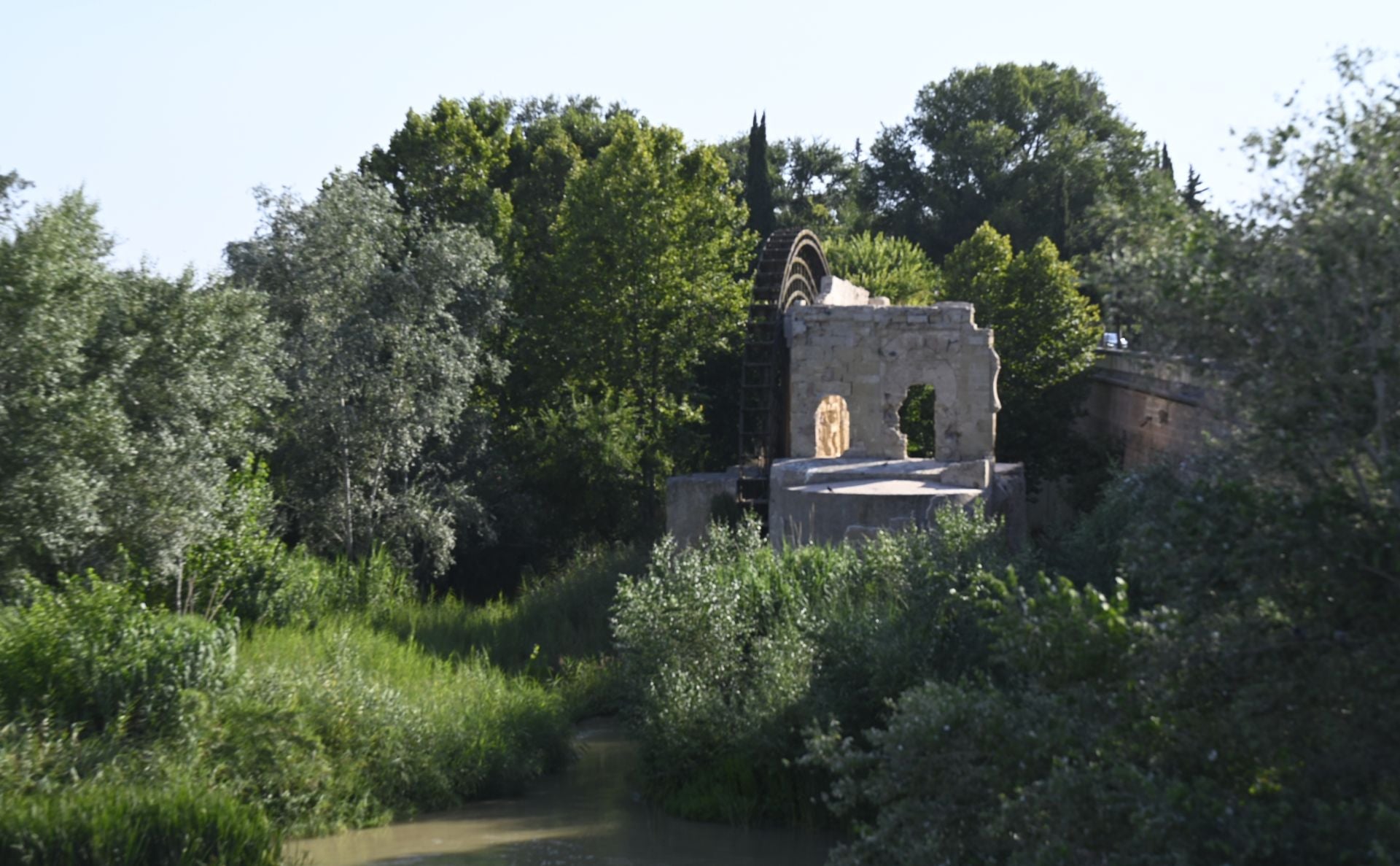 La vegetación en el Guadalquivir a su paso por Córdoba, en imágenes