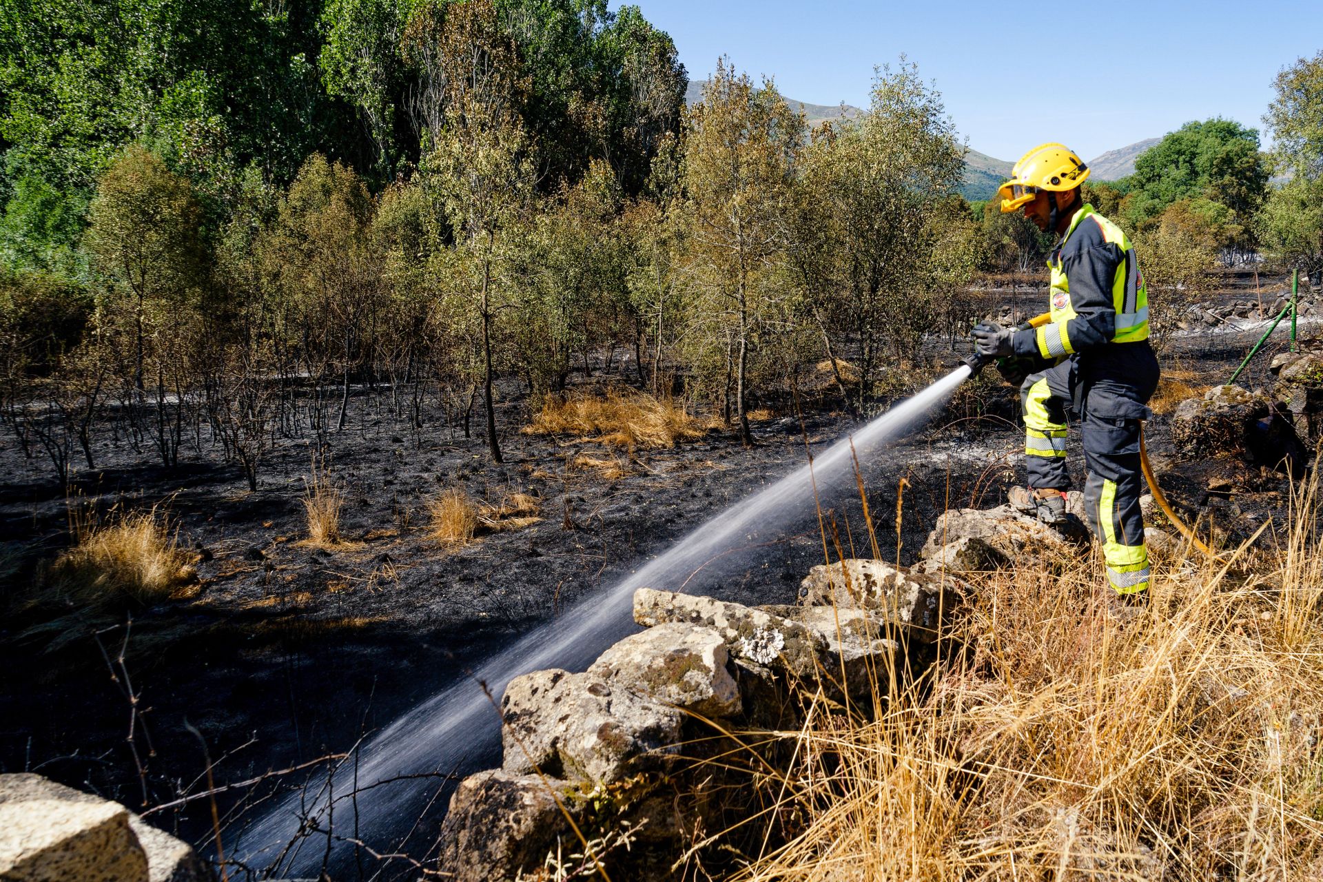 Uno de los mangueristas que están trabajando en el operativo de extinción del incendio de Navaluenga