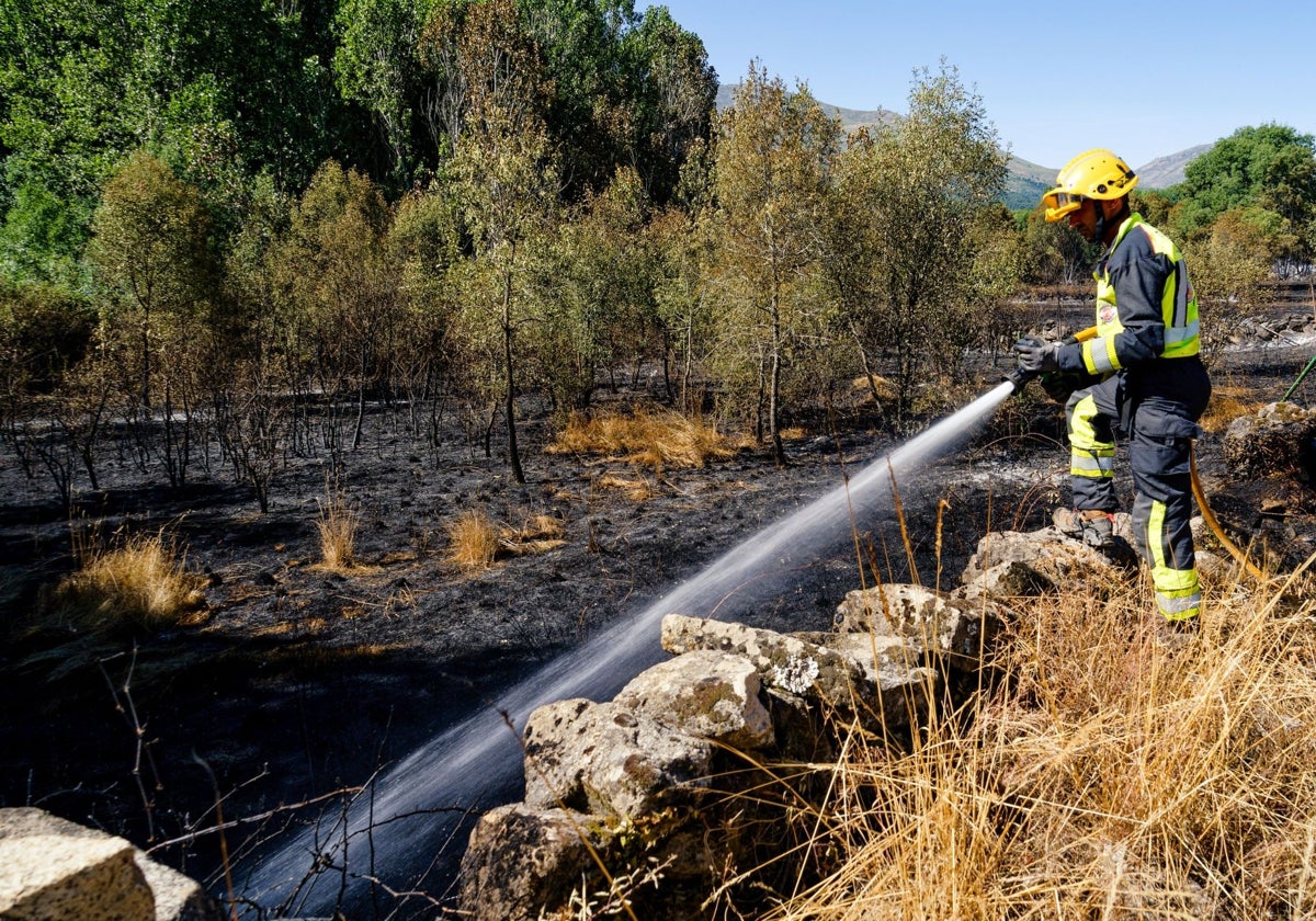 Un operario trabaja en la extinción del incendio de Navaluenga