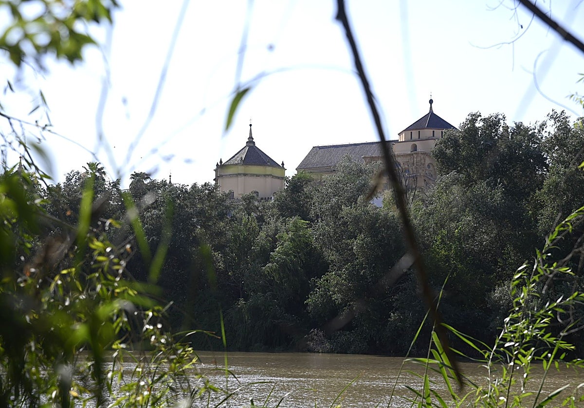 La Mezquita-Catedral de Córdoba, vista desde la orilla izquierda