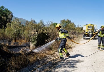Castilla y León da por «controlado» el incendio de Navaluenga (Ávila)
