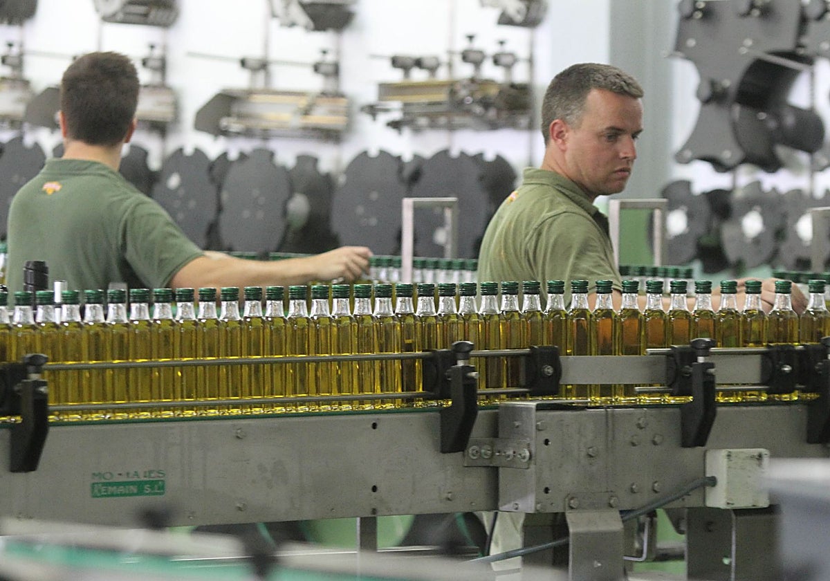 Envasado de aceite de oliva en Priego de Córdoba