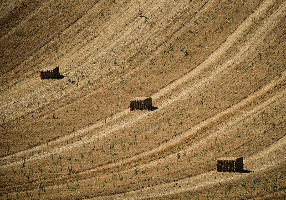 Arden 40.000 kilos de paja en una nave de Ejea de los Caballeros (Zaragoza)