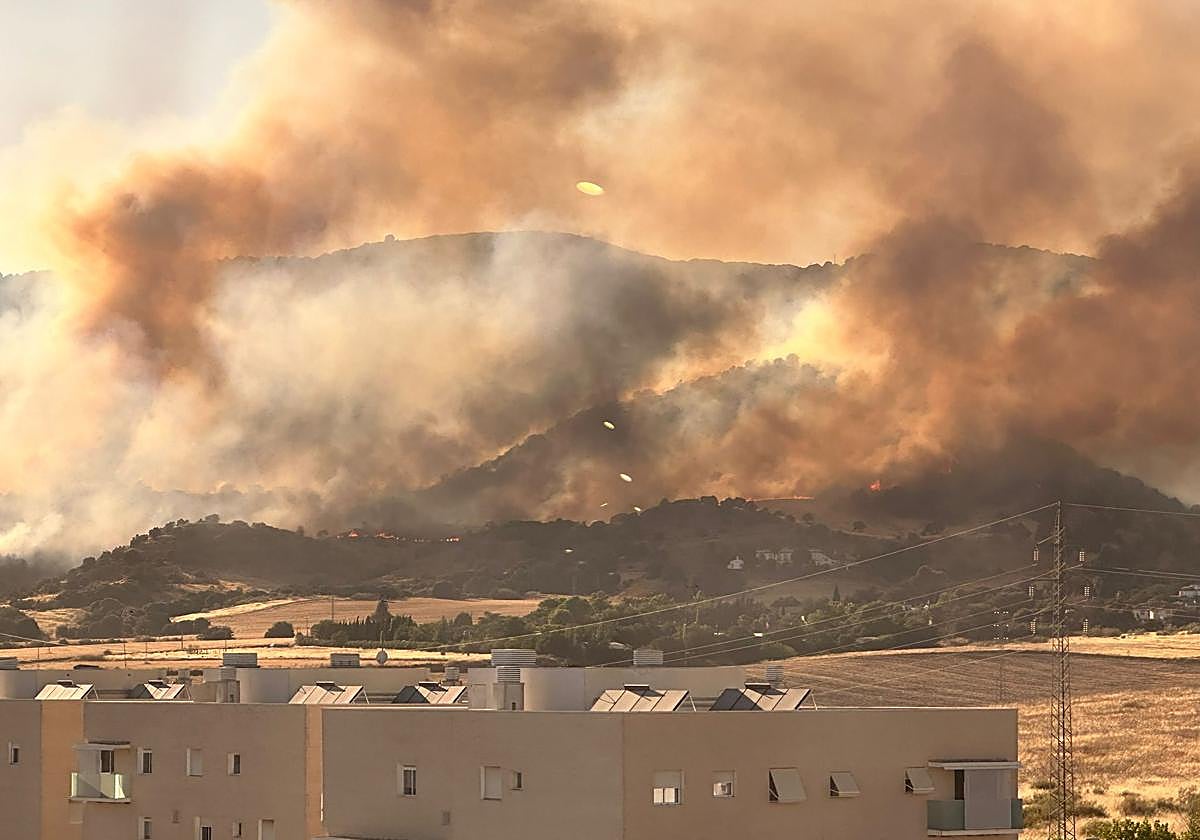 Panorámica del a zona afectada por las llamas en la falda de la Sierra en la zona del Castillo de la Albaida