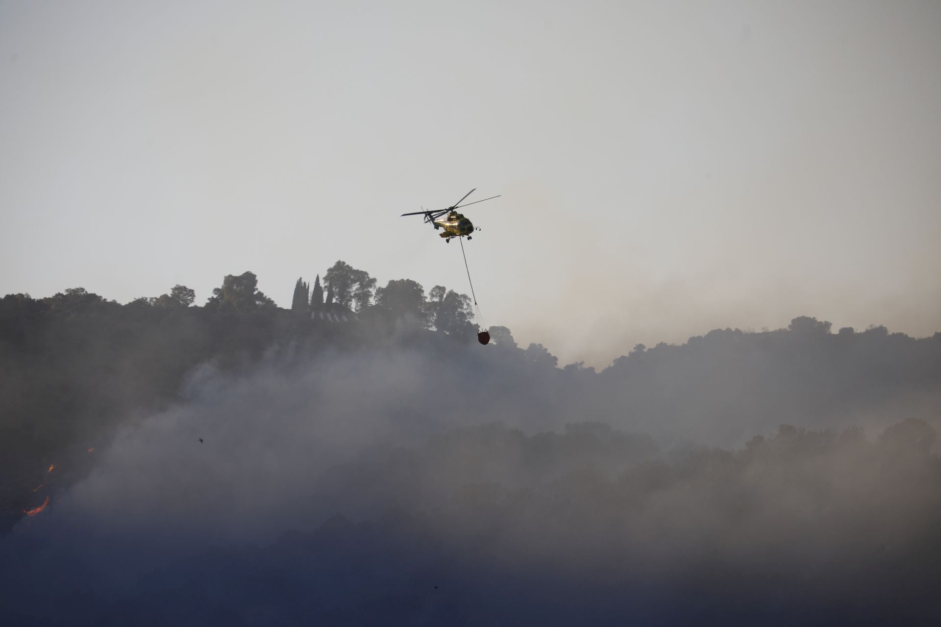 El incendio en la zona del Castillo de la Albaida en Córdoba, en imágenes