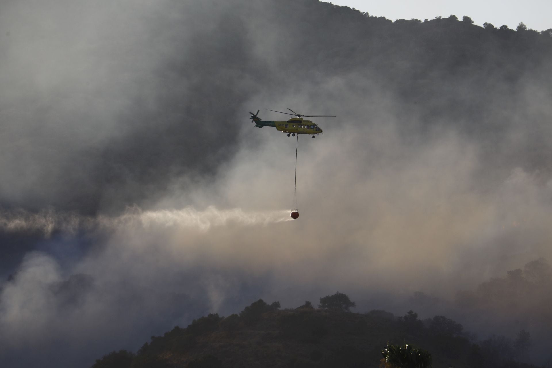 El incendio en la zona del Castillo de la Albaida en Córdoba, en imágenes