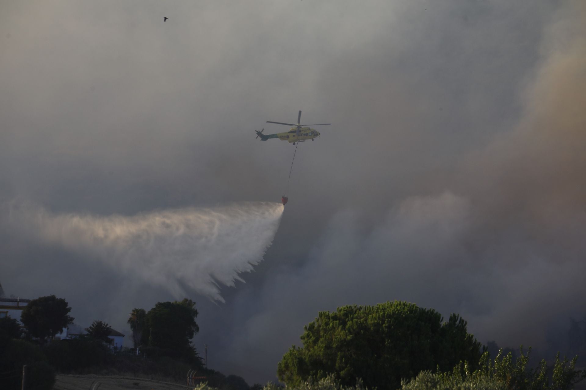 El incendio en la zona del Castillo de la Albaida en Córdoba, en imágenes