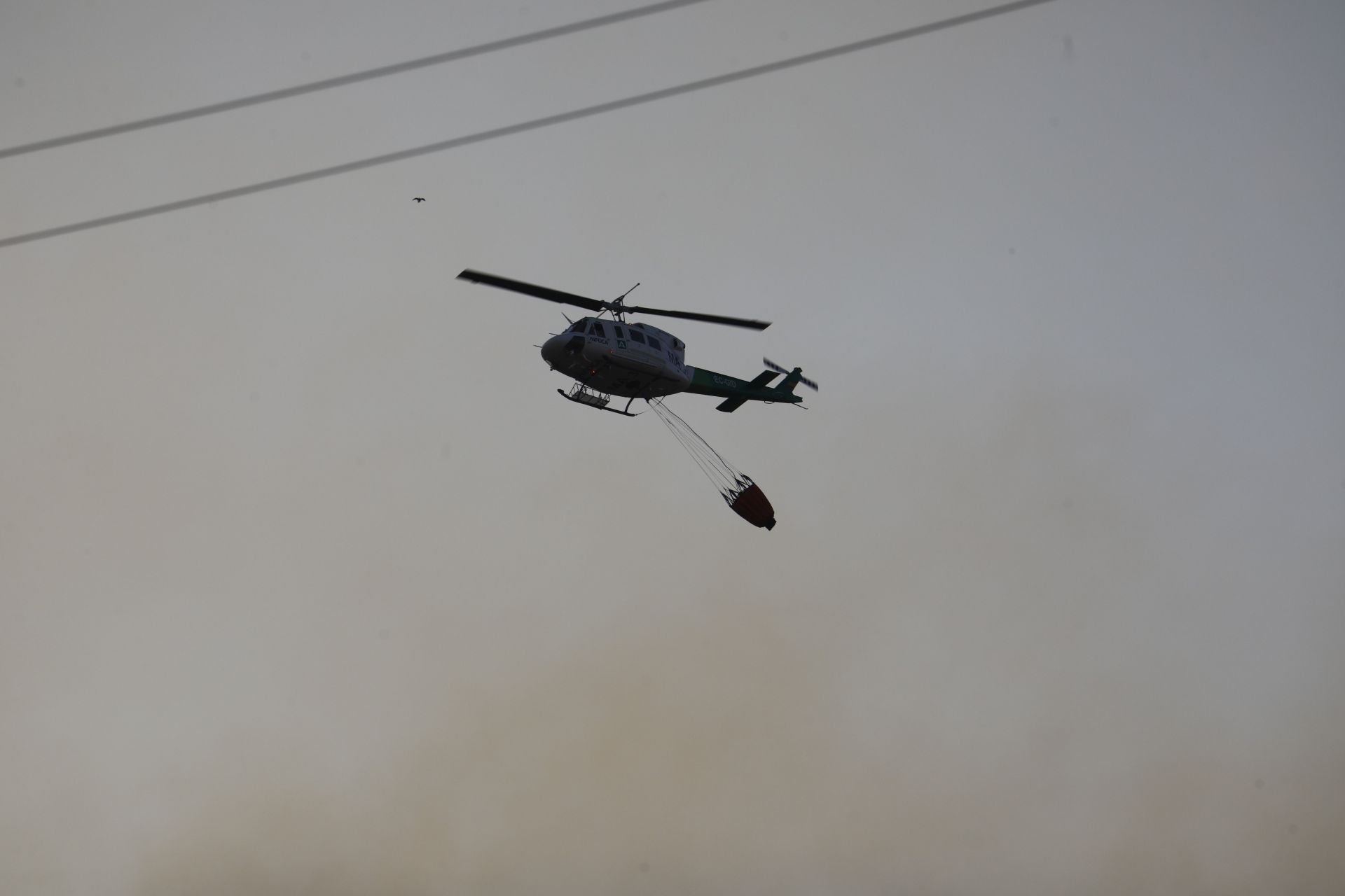 El incendio en la zona del Castillo de la Albaida en Córdoba, en imágenes