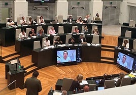 Almeida reaparece en el Pleno durante su baja de paternidad