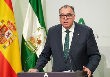 La Junta lamenta «la confusión e inseguridad jurídica» generada por el Registro Único para las viviendas turísticas