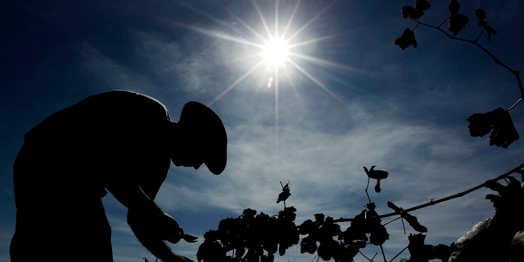 Muere un trabajador aplastado por una carretilla en una empresa de fruta de Huesca