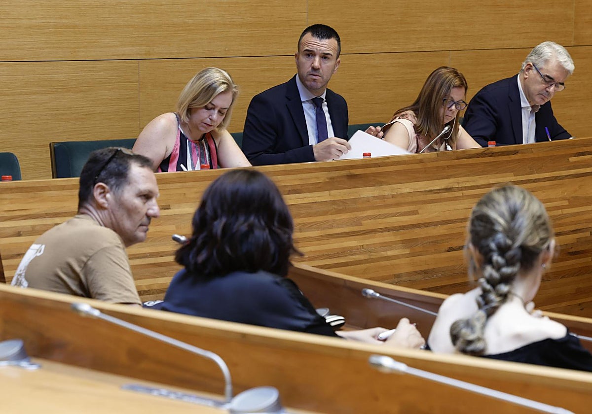 El presidente de la Diputación, Vicent Mompó, en la séptima sesión de la Comisión  de estudio de la dana