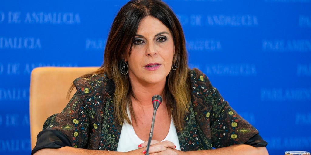 El PSOE-A pide que «se haga lo que se tenga que hacer» para que el hijo de Juana Rivas se quede con su madre
