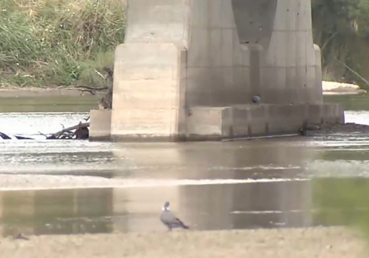 Nueva bajada brusca del caudal del Tajo en Toledo este miércoles de madrugada