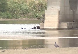 Nueva bajada brusca del caudal del Tajo en Toledo este miércoles de madrugada