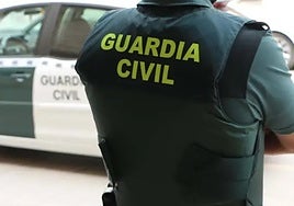 Detenidos tres jóvenes en San Agustín de Guadalix por robos violentos mediante el método del tirón