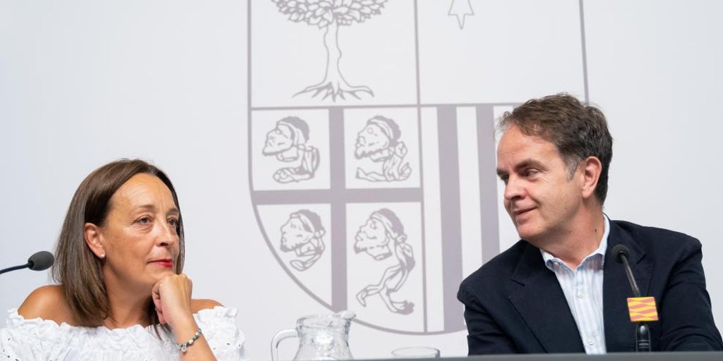Nuevo decreto recurrido: Aragón dice que los 251 menores que vendrán de Canarias solo podrán ser atendidos 90 días con la ayuda prevista